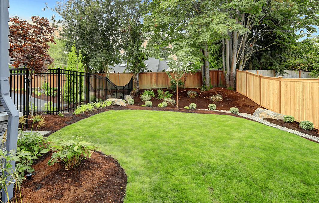 beautiful-yard