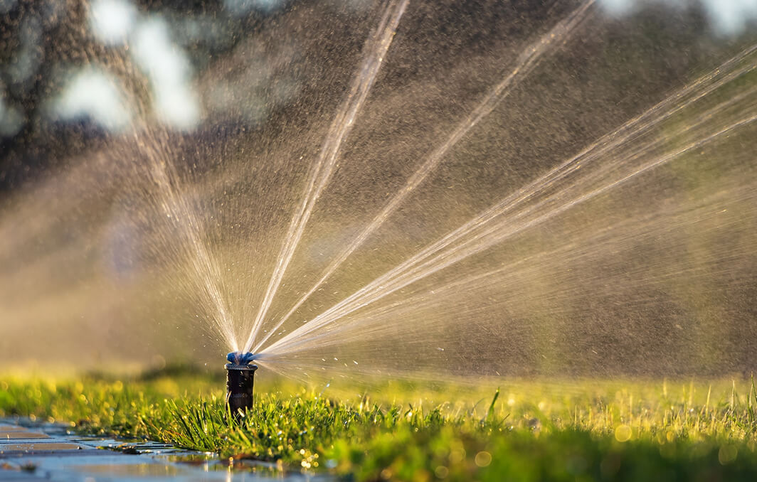 irrigation
